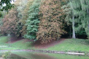 Herbstfarben im Wildpark Weilburg